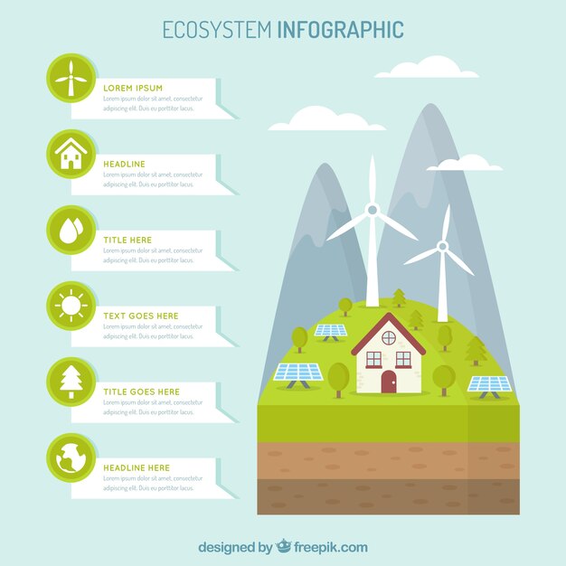 Infographic konzept des ökosystems