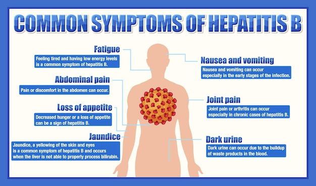 Informatives poster mit häufigen symptomen von hepatitis b