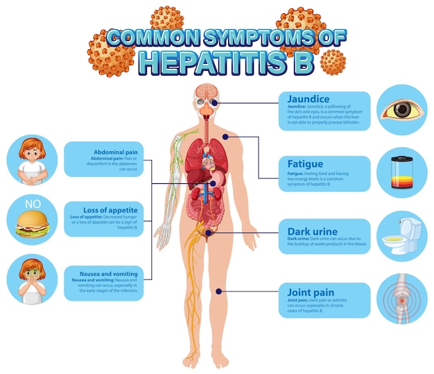 Kostenloser Vektor informatives poster mit häufigen symptomen von hepatitis b