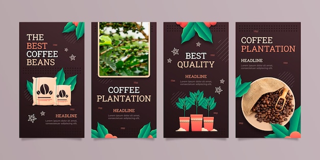 Instagram-geschichten für die kaffeeplantage mit farbverlauf eingestellt