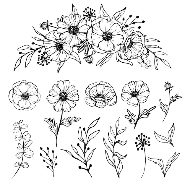 Isolierte Gänseblümchen-Linienkunst-Blumenclipart