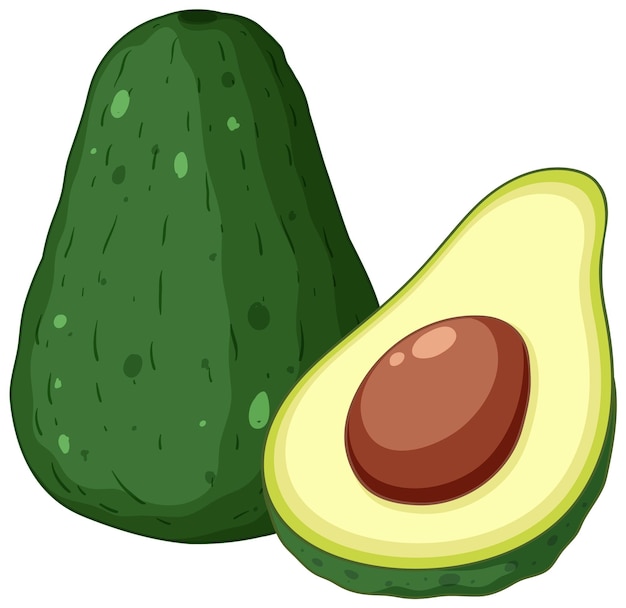 Kostenloser Vektor isolierte grüne avocado-frucht isoliert