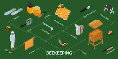 Kostenloser Vektor isometrische infografiken der imkerei mit hives equipment farmer im schutzanzug auf grünem hintergrund 3d-vektorillustration