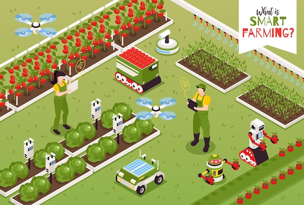 Isometrische Smart Farm Zusammensetzung und menschliche Charaktere Illustration