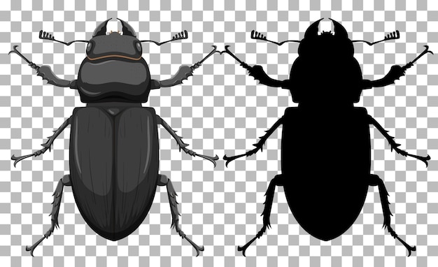 Käfer auf transparentem hintergrund