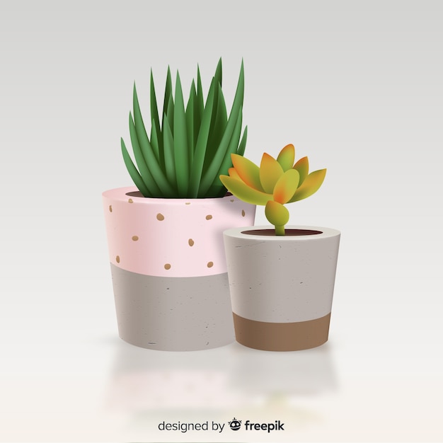 Kaktuspflanze im realistischen Stil