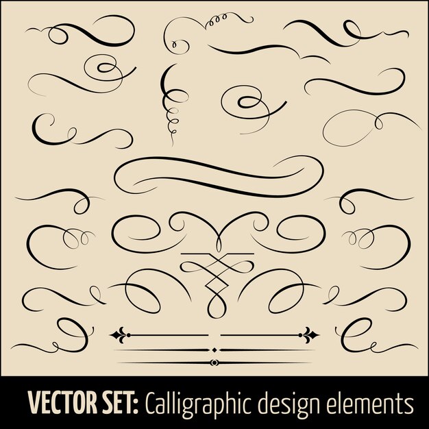 kalligraphische und Designelemente für die Seitendekoration.