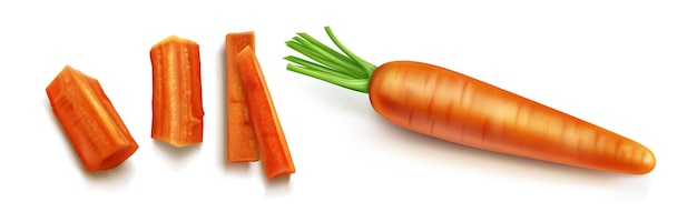 Karotte mit grünem Blattvektor isoliert