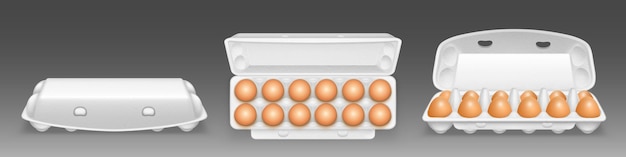 Kostenloser Vektor karton-eierablage blanko-box-paket mockup