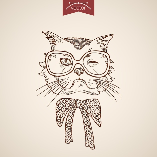 Katze zwinkert kopf hipster-stil menschlich wie kleidung zubehör tragen brille design schal.