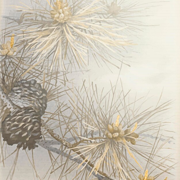 Kiefern- und Nadelbaumzapfen auf grauem Hintergrund gemustert