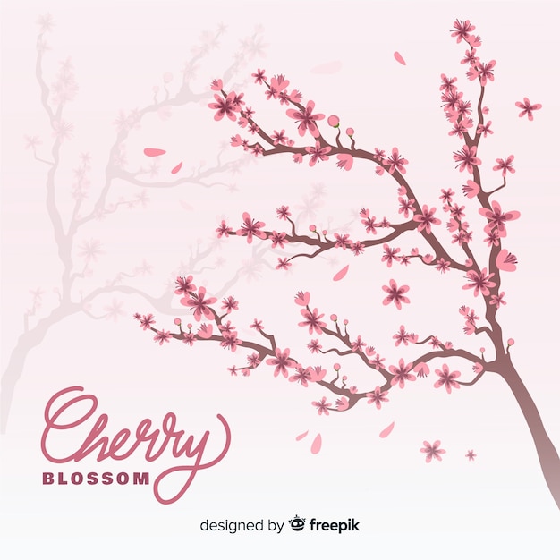 Kirschblüten Hintergrund