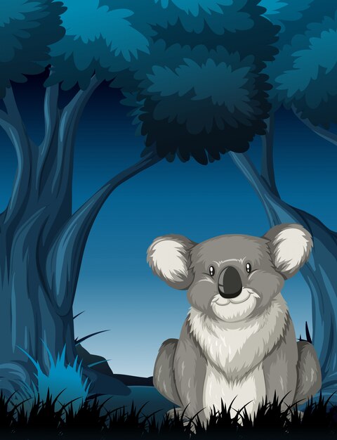 Koala in der nachtaufnahme