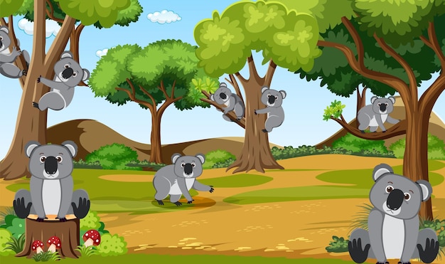 Koalas in der waldszene