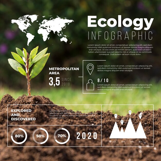 Ökologie Infografik mit Foto