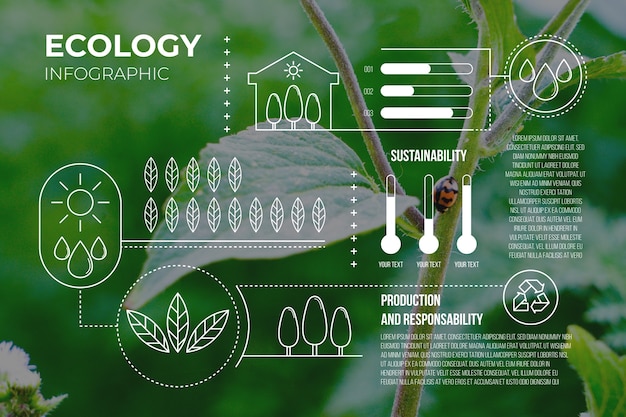 Ökologie-Infografik mit Fotovorlage