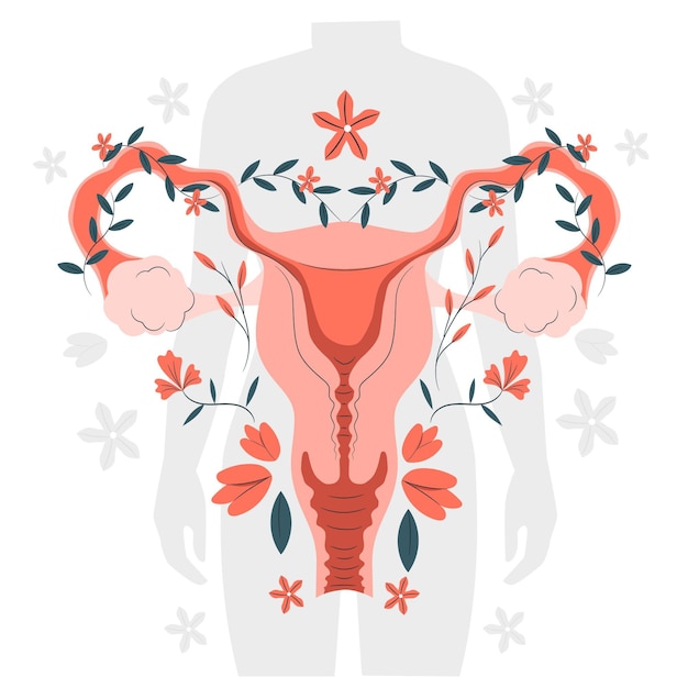 Kostenloser Vektor konzeptdarstellung des weiblichen fortpflanzungssystems