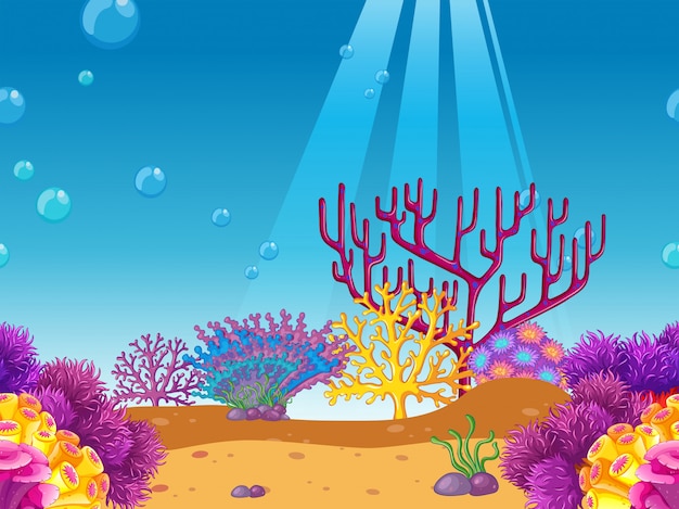 Kostenloser Vektor korallenriff unter dem seehintergrund