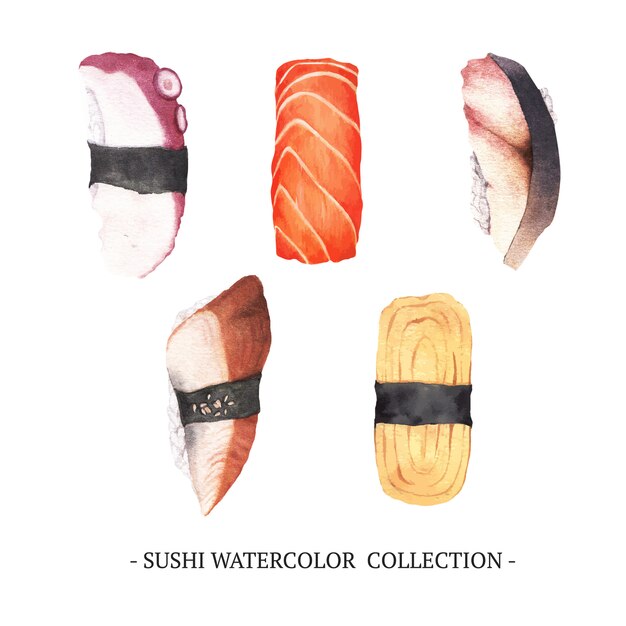 Kreative isoliert aquarell sushi