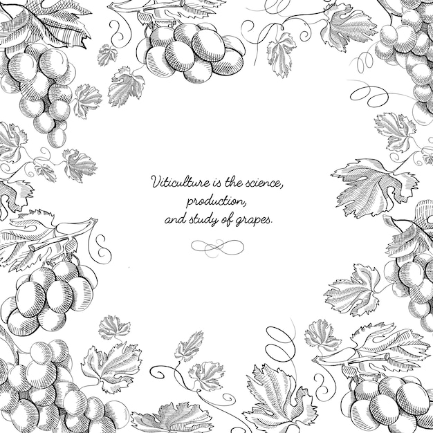 Kreative Rahmen-Gekritzelkomposition Schwarzweiss mit Zweigen und Stielen der handgezeichneten Illustration der köstlichen Trauben