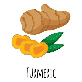 Kurkuma-superfood-wurzel für vorlagenbauernmarktdesign, -etikett und -verpackung. bio-lebensmittel mit natürlichem energieprotein. isolierte illustration der vektorkarikatur.