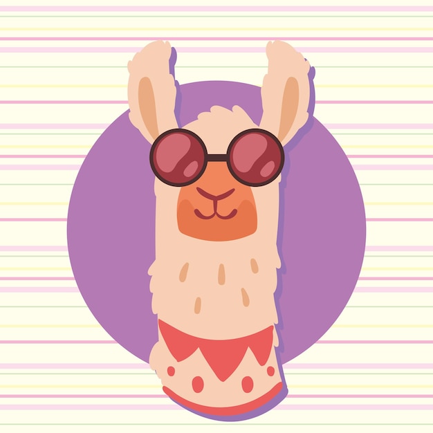 Lama peruaner mit sonnenbrille