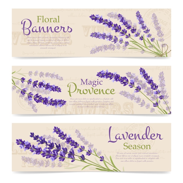 Lavendel realistische banner vorlage