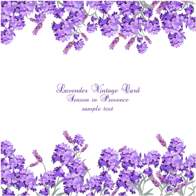 Lavendelweinlesekarte