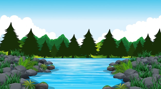 Leere Hintergrundnaturszene oder -hintergrund