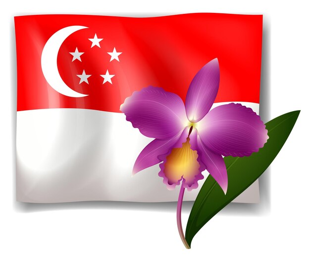 Lila Orchidee und Singapur-Flagge