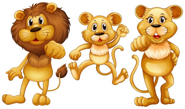 Löwenfamilie mit einem kleinen Cub Illustration