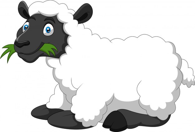 Lustige Schafe Der Karikatur Die Ein Gras Essen Premium Vektor