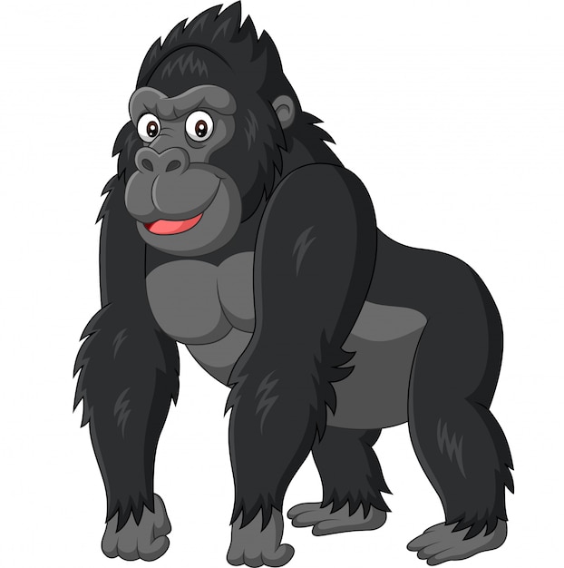 Bilder Gorilla Gratis Vektoren Fotos Und Psds