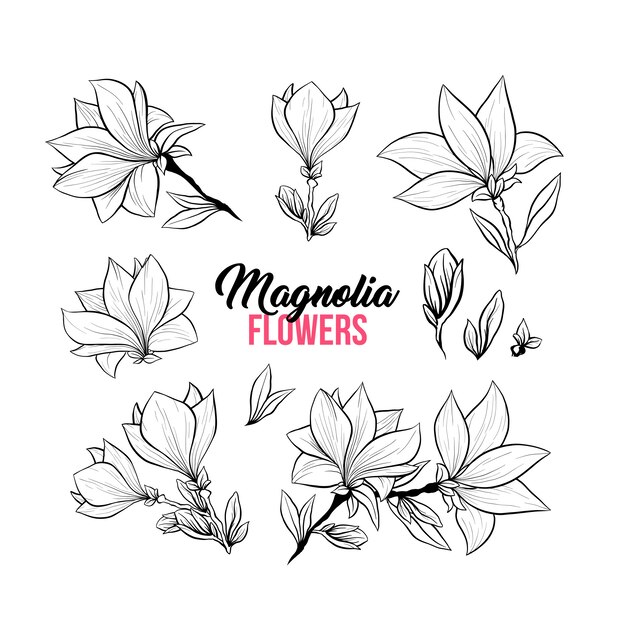 Magnolienblumen handgezeichnete Illustrationen gesetzt