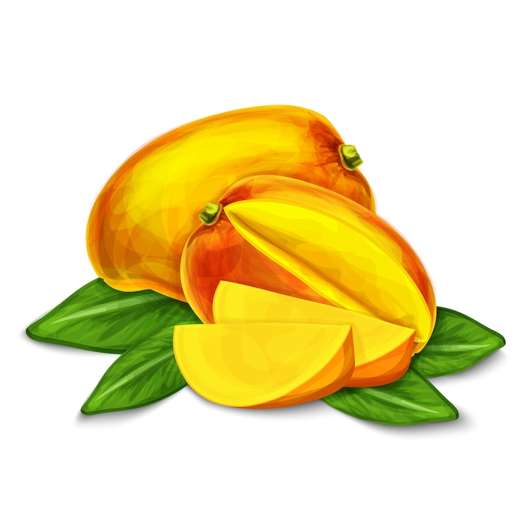 Kostenlose Vektor mango lokalisierte illustration