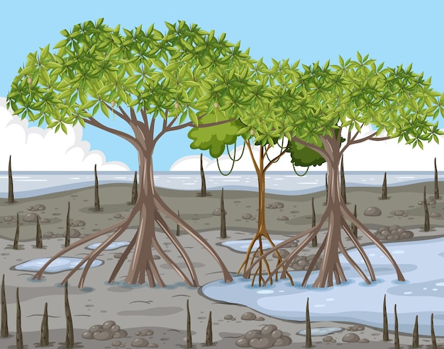 Kostenloser Vektor mangrovenwald-landschaftsszene