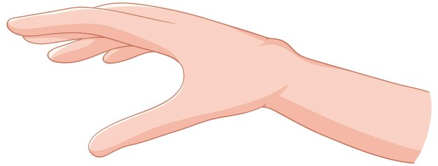 Medizinische Handveranschaulichung