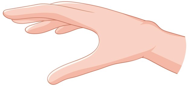 Medizinische Handveranschaulichung