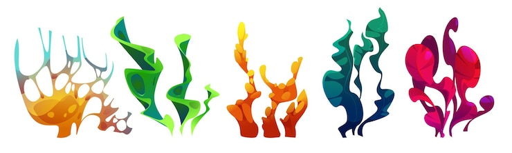 Kostenlose Vektor meeresmeer-unterwasserpflanzen-vektorillustration ozeangras-alge-kelp- und flora-dekoration isoliert auf weißem hintergrund abstrakte dekorative unterwasser-gedeihen-icon-design-kollektion mit tropischen blättern