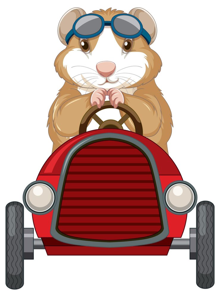 Kostenlose Vektor meerschweinchen auto spielzeug cartoon fahren