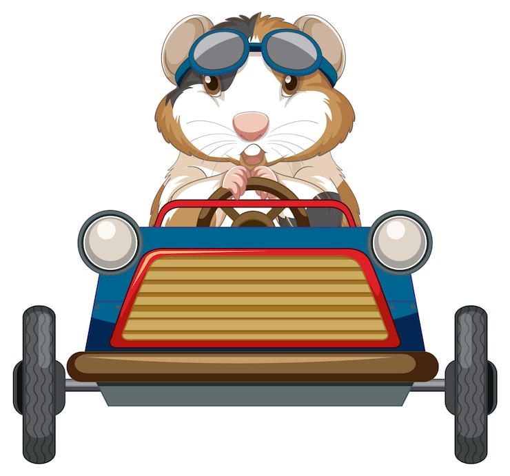 Kostenlose Vektor meerschweinchen auto spielzeug cartoon fahren