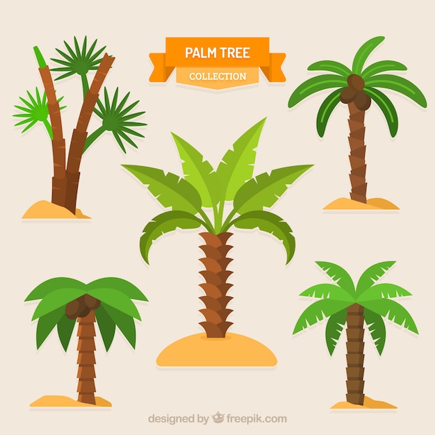 Mehrere Palmen im flachen Design