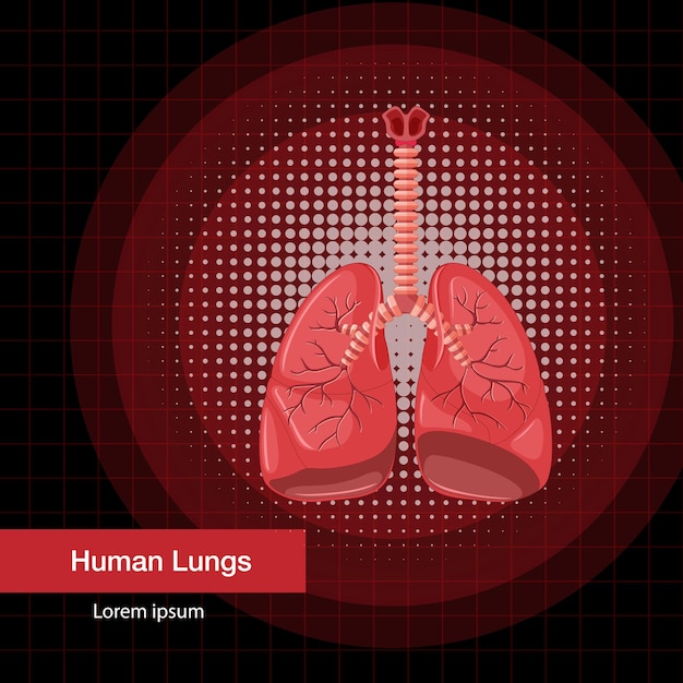 Kostenloser Vektor menschliches inneres organ mit lunge