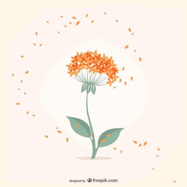Minimal Blume mit orange kleine Blütenblätter