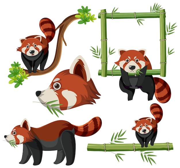Kostenloser Vektor mischset aus rotem panda