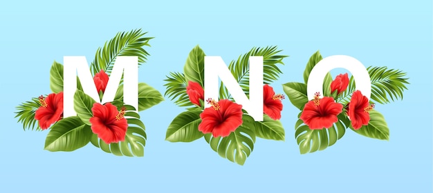 MNO Buchstaben umgeben von sommerlichen tropischen Blättern und roten Hibiskusblüten