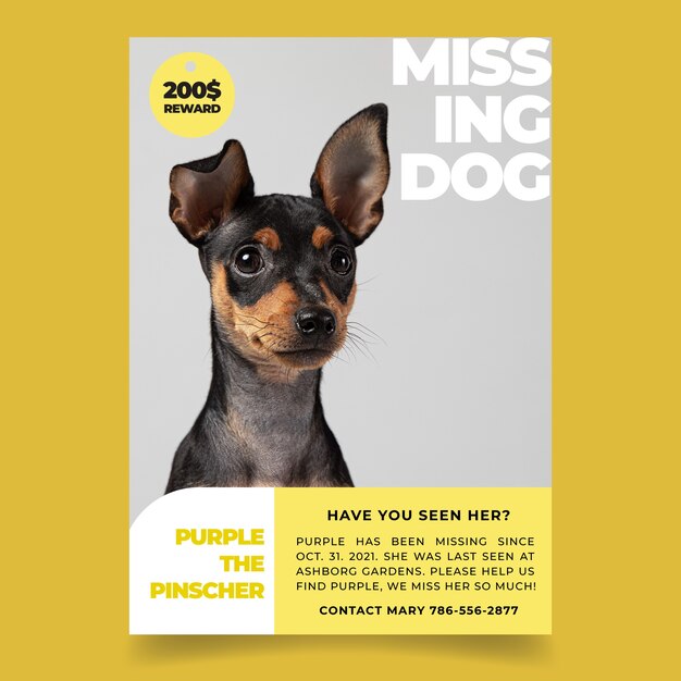 Modernes lila verlorenes Hundeplakat des flachen Designs
