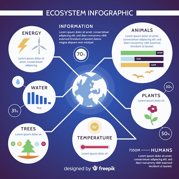 Modernes ökosystem infographics konzept