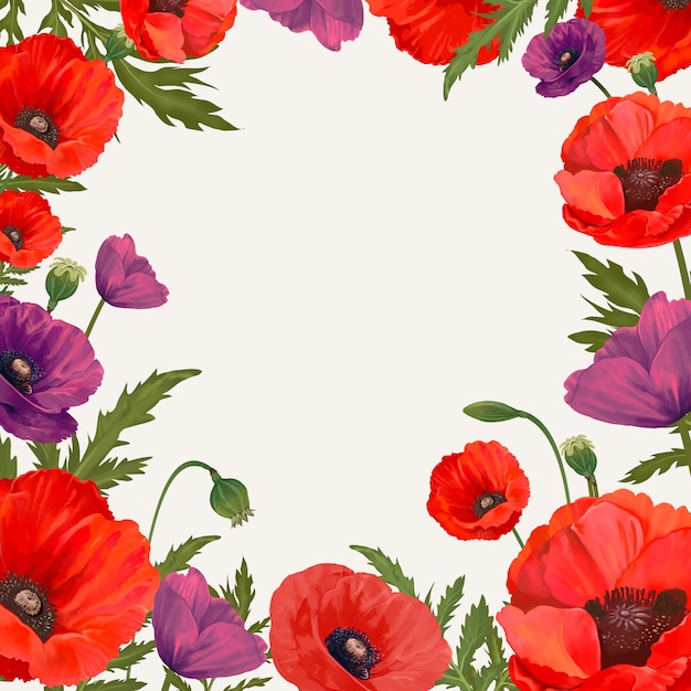 Mohn gerahmt Hintergrund