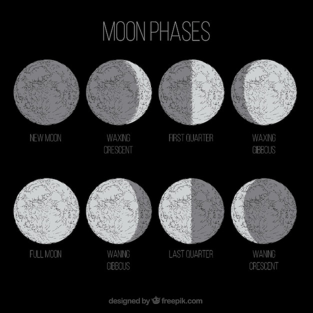 Mond in acht verschiedenen phasen